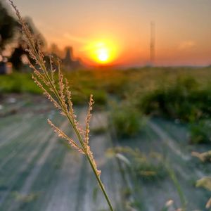 在星空下的誓言