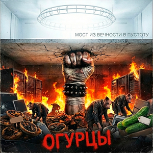 Огурцы