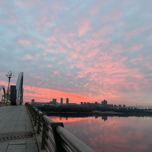 我不是忘不掉你