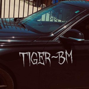 Tiger-B.M