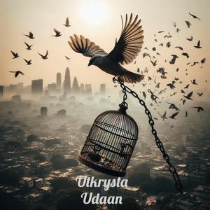 Udaan