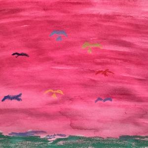 Pyynikin Luontopolku