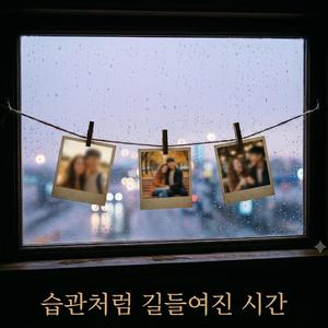 습관처럼 길들여진 시간