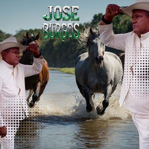 La Historia de una Pandemia