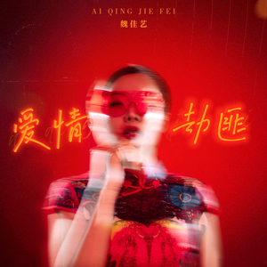 爱情劫匪 (DJ版)