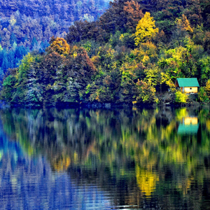 Cats Mind (Devilish Jumps on the Streets remix)