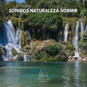 Sonidos Naturaleza Dormir (04)