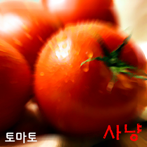 토마토가 날아간다