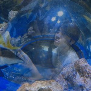 the reaper (feat. digifern)