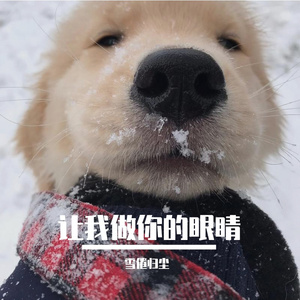 让我做你的眼睛