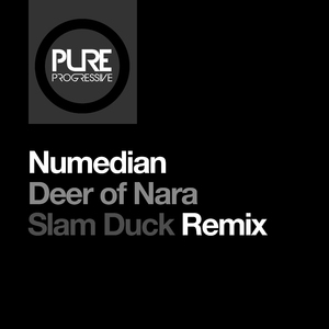 Deer Of Nara (Slam Duck Extended Remix)