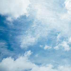 Melodía De Goteo Tranquilo