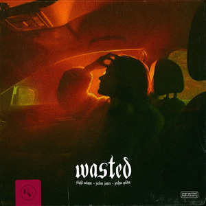 Wasted (feat. Joshua Golden)