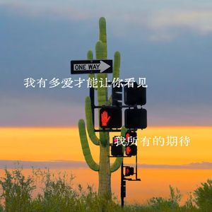 我有多爱才能让你看见我所有的期待