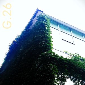 怪