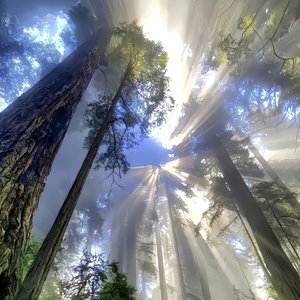 这一生关于你的风景