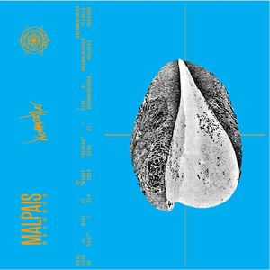 Night Tremors (Crowhurst Side)