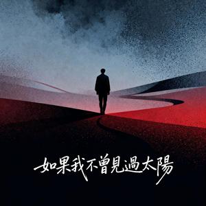 如果我不曾見過太陽