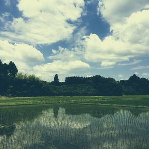 YACHIMATA_170605