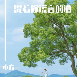 混着你谎言的酒