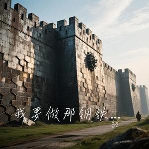我要做那钢铁城墙
