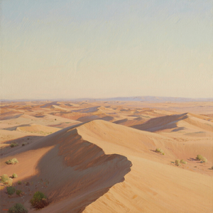 Crazy Desert