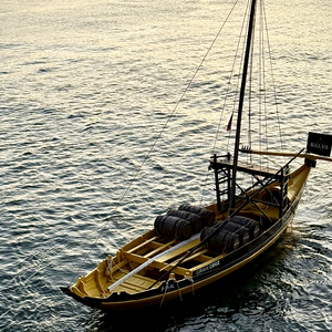 不用等，不用问