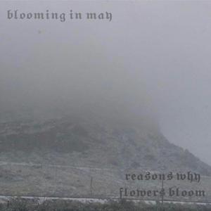 critters in the kitty litter (feat. blooming in may)