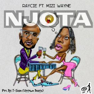 Njota (feat. Mizi Wayne)