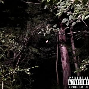 Blocks, Glocks, and Clocks (feat. TheBomBoy & Adia Man)