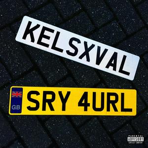 Sry 4 Ur Loss (feat. VAL)