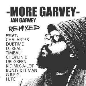 More Garvey (Timbali Remix) [feat. Timbali]