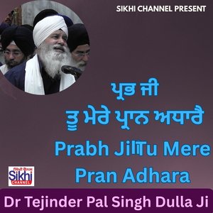 Prabh Ji Tu Mere Pran Adhare