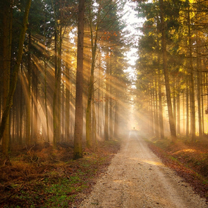 Senare sommar improvisation