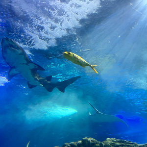 「90s」The Weeknd type BEAT