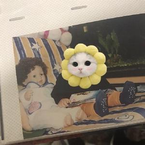 100%女孩(prod by urban nerd)