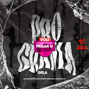 Vou Pagar o Programa Dela