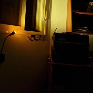 טבעו של הפחד