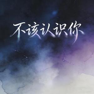 不该认识你
