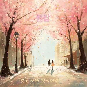 벚꽃 아래 첫눈처럼