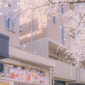 爱人错过（cover 告五人）