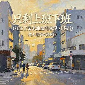 只剩上班下班（扛住了柴米油盐的麻烦对唱dj）