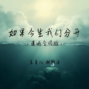 如果今生我们分开(遗憾合唱版)