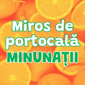 MIROS DE PORTOCALA