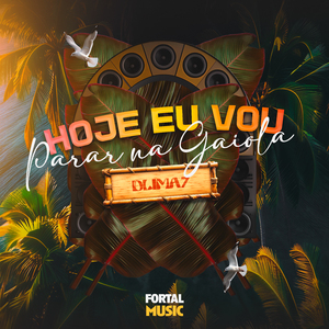 Hoje Eu Vou Parar na Gaiola (Remix)