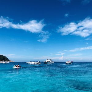 海棠花香