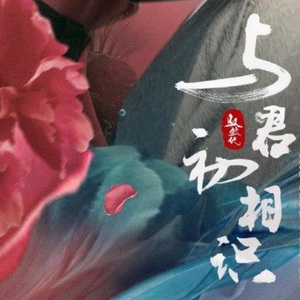 没有你的日子我真的好孤单