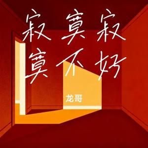 寂寞寂寞不好 (Remix)