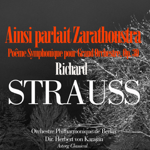 Also sprach Zarathustra, Op. 30 - 3- De l'aspiration supreme