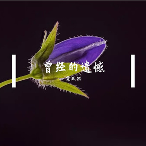 曾经的遗憾